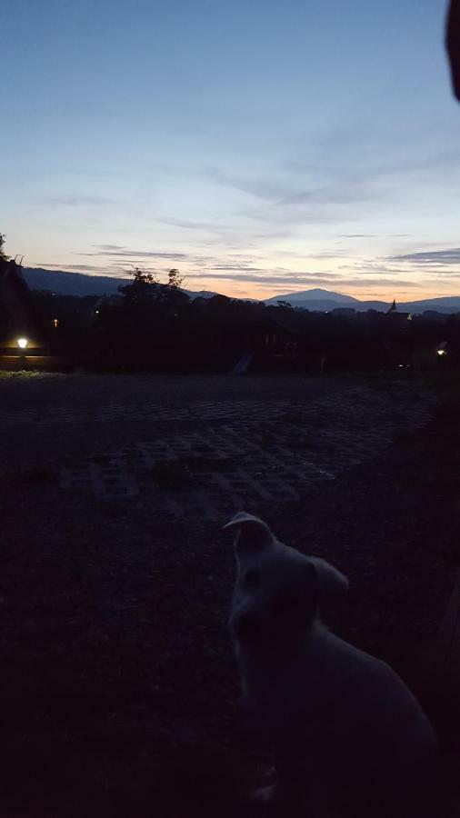 Rokiciny Podhalanskie Domki Pod Lasemヴィラ エクステリア 写真